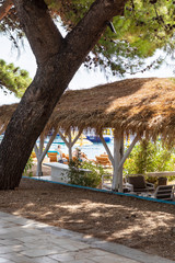 Bol on Brac island view with a cute beach bar and a big pine tree. A path near the sea on a sunny day in summer in Dalmatia, Croatia. Clear blue Adriatic water at the Mediterranean coast