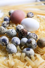 chicken and quail eggs in a nest on pasta background, family concept, selective focus