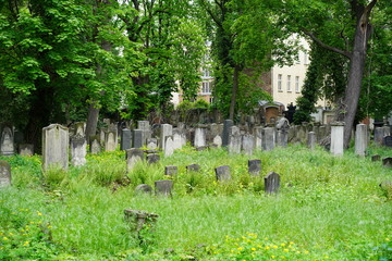 Jüdischer Friedhof Schönhauser Allee (Berlin)