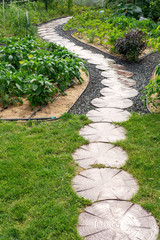 Garden stone path with grass growing up between the stones
