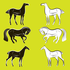 Fototapeta premium Vector set of black and white horses silhouettes