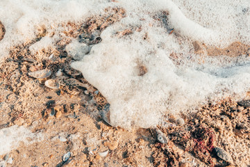 foam from the sea