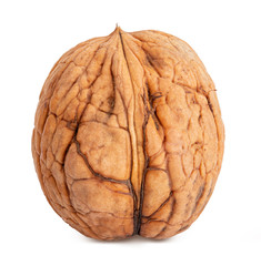 Obraz premium Walnut on white background