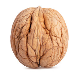 Obraz premium Walnut on white background
