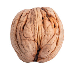 Obraz premium Walnut on white background