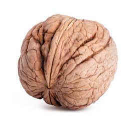 Obraz premium Walnut on white background
