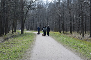 walking in the woods