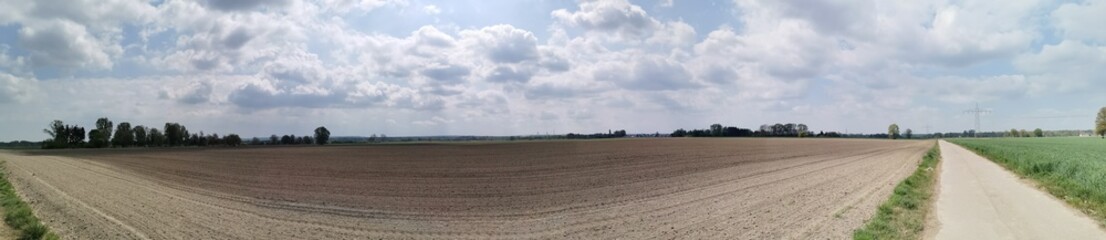 Obraz premium Blumen; Feld; Raps; HImmel; Landschaft; Landwirtschaft; 