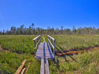 Dumme Mosse Nature Reserve Outsideping
