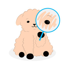 sheep for site / application navigation (search)