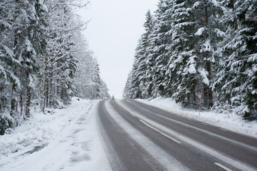 snow covered road in forest 