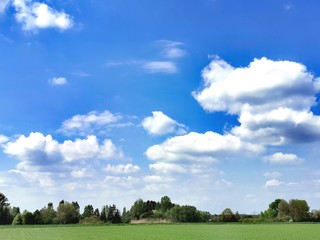 Tiere; Natur; Landschaft; Landwirtschaft; See; Bach; Weiher; Blumen; 