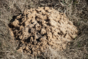 Mole hole