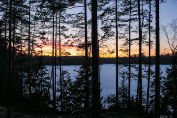 Panorama of a frozen lake surrounded by forests in Småland, Sweden