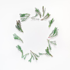 Arrangement of thuja branches. Frame of green twigs with soft needles is on a white background. Flat lay. Copy space.