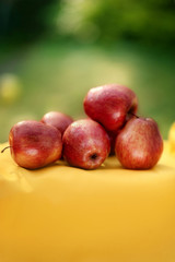 apples fruit red yellow food 