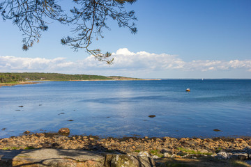 Fototapeta na wymiar Coastline near Halmstad, Sweden 