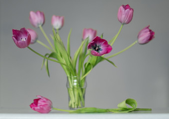 flowers tulips pink wet vase tulip