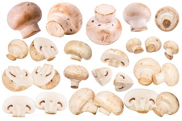 Fresh champignon mushrooms isolated on white background. Champignon mushroom slices. Big set of flying cut fresh mushrooms slices and quarters. Vegetable ingridients for cooking