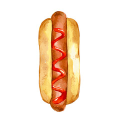 Hotdog with red ketchup. Hand drawn watercolor illustration isolated on white background. Vector - 346531759