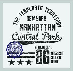 New York College print and embroidery graphic design vector art