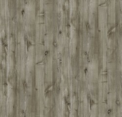 Naklejka premium Natural Wood Surface Texture