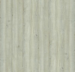 Natural Wood Surface Texture