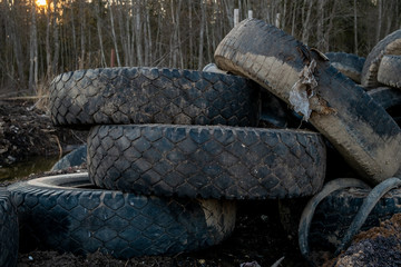 Fototapeta na wymiar A large number of truck tires are in the heap. Some wheels are dirty