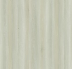 Obraz premium Natural Wood Surface Texture