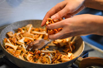 adding chanterelle mushrooms to cook in a frying pan