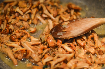 cooking chanterelle mushrooms close up