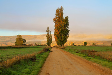Fototapeta premium Dirt road on sunrise