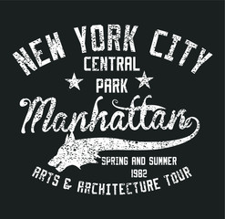 New York College graphic design vector art