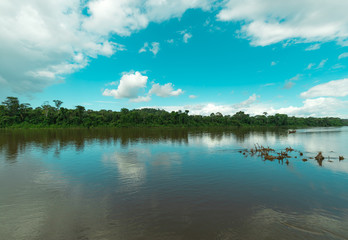 Teal Sky And Green Trees With Suriname River Landscape