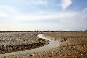 Mud flat in Yeongjongdo Island, South Korea.
