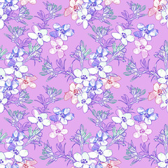 Fototapeta premium Field flowers template, seamless pattern.