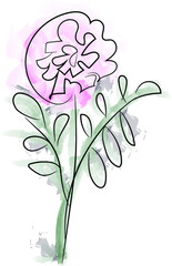 Flower in a single line. on white background. Watercolor colors. Tender Tulip and daffodil. Field flowers. Vector illustration