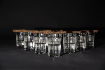 Glass of vodka with bread 23