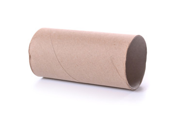Empty roll from toilet paper