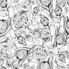 Seamless pattern with protea flower. manual graphics. Coloring book for children and adults, mascara, floral pattern for textile decor and design, wallpaper, relaxation, meditation. stock graphics.  - 346541388