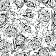 Seamless pattern with protea flower. manual graphics. Coloring book for children and adults, mascara, floral pattern for textile decor and design, wallpaper, relaxation, meditation. stock graphics. 