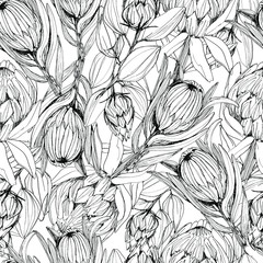 Seamless pattern with protea flower. manual graphics. Coloring book for children and adults, mascara, floral pattern for textile decor and design, wallpaper, relaxation, meditation. stock graphics.  - 346542198