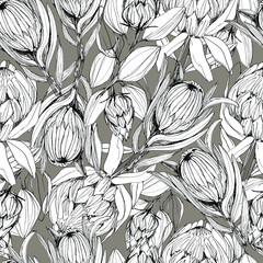 Pattern with protea flower. manual graphics. Stylish floral pattern with dried flowers, African protea flower. For wallpaper, textile, home decor, packaging. stock graphics. isolate - 346542360