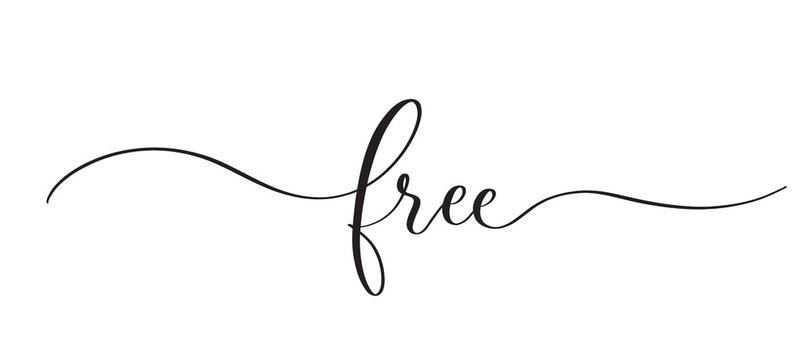 Free -  typography lettering quote, brush calligraphy banner with  thin line.