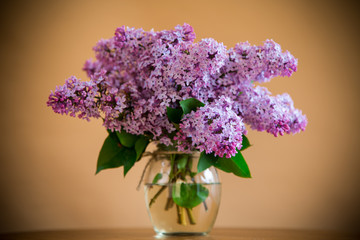 bouquet of beautiful spring flowers of lilac on an orange