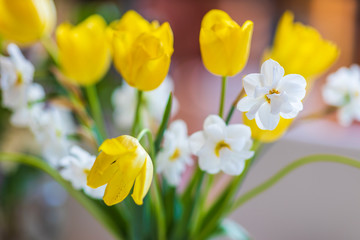 Fototapeta premium Close up of withered tulips in a vase