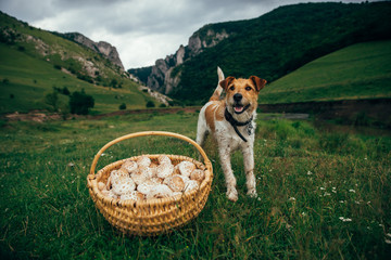 Fototapety na wymiar - Fototapeta24.pl