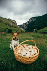 Fototapety na wymiar - Fototapeta24.pl
