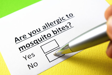 Obraz premium Are you allergic to mosquito bites? yes or no?
