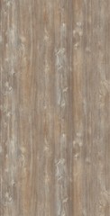 Obraz premium natural wood texture